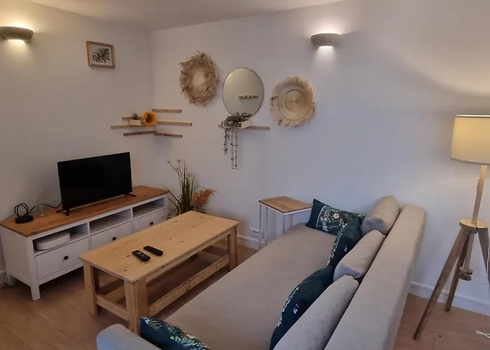 Appartement T3 Au Centre Ville De Pau
